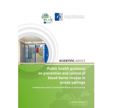 Public health guidance on prevention and control of  blood-borne viruses in prison settings